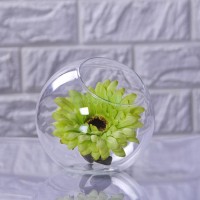 Clear Glass Flower Plant Pot Vase Holder Hydroponic Terrarium Container Decor   331909205529
